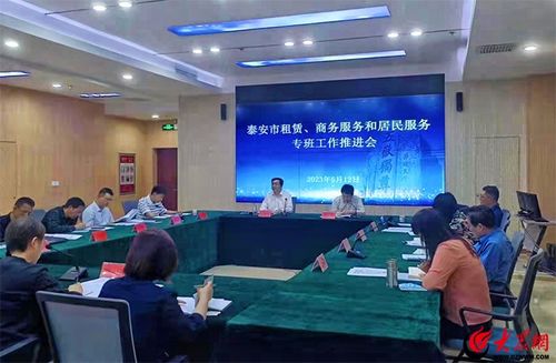 泰安市租賃、商務服務和居民服務專班工作推進會召開 聚焦軟件開發與應用