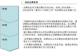 橫向品牌管理 超越傳統縱向模式，以攝像及制作服務為例